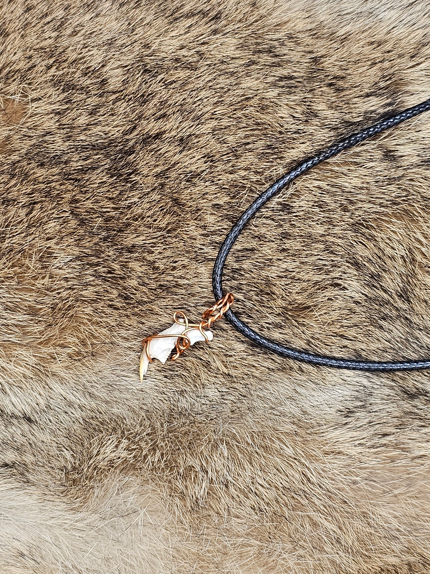 Copper Wrapped Rodent Mandible Necklace