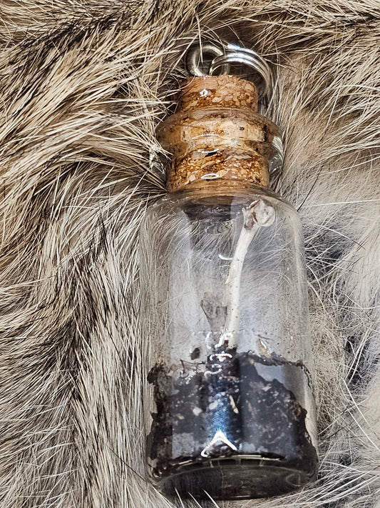 Rodent Long-bone necklace