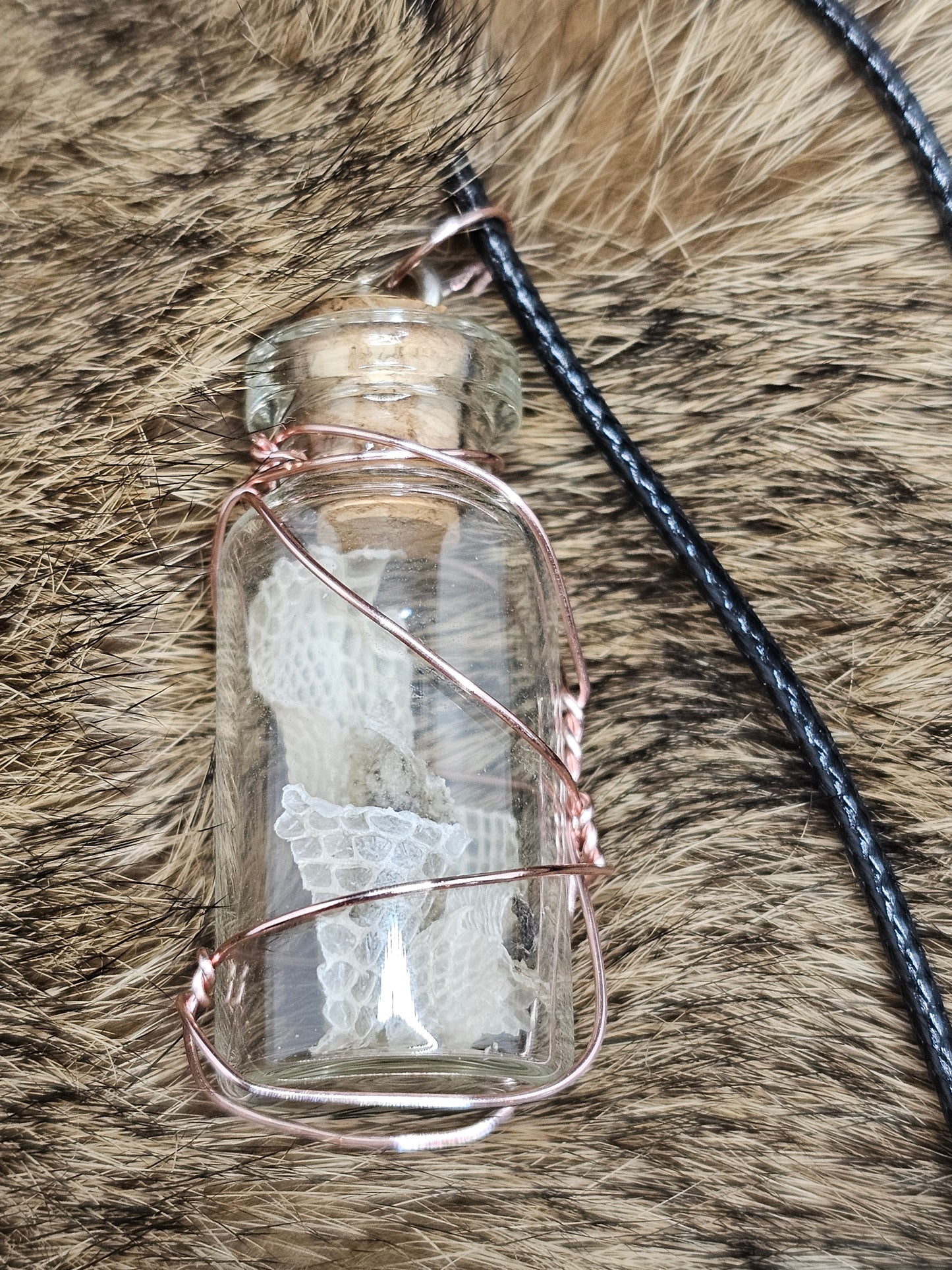 Bearded Dragon Shed Necklace